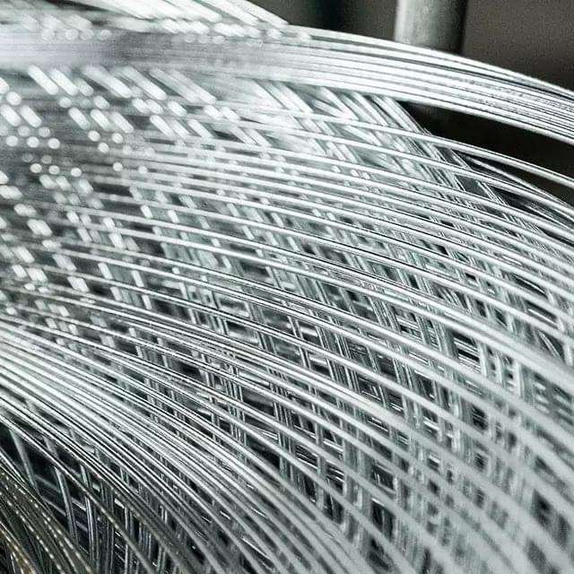 Galvanized Wire Exporter TJIEC